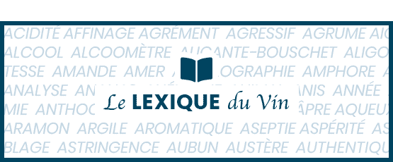 Le lexique du vin