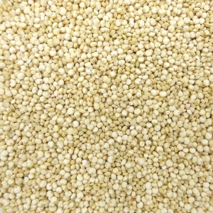 Quinoa blanc BIO Pérou/Bolivie/Equateur  SAC 5 KG