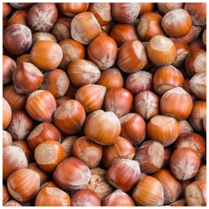 Noisettes coques 22/24 France Récolte 2023  SAC 5 KG