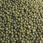 Haricots mungo BIO France<br>