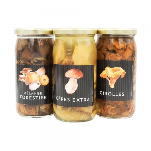 Girolles bocal pne 185g  6 POTS