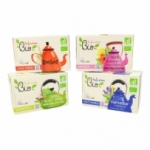 Infusion digestion BIO 20 sachets  CT 15 BTE